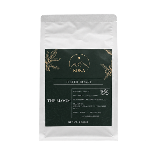 The Bloom Fermented Filter Roast